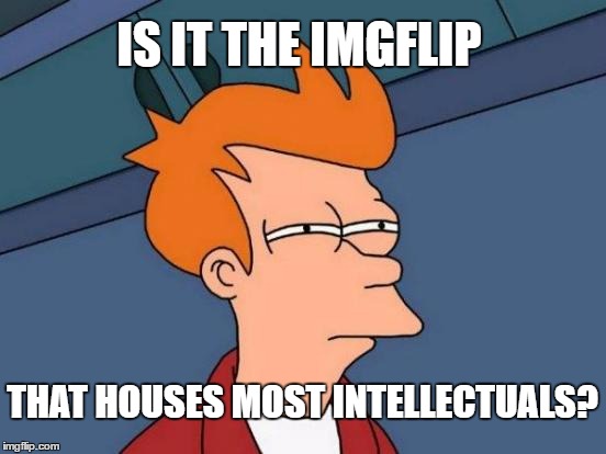 I wonder.. | IS IT THE IMGFLIP; THAT HOUSES MOST INTELLECTUALS? | image tagged in memes,futurama fry,imgflip,houses,intellectual | made w/ Imgflip meme maker