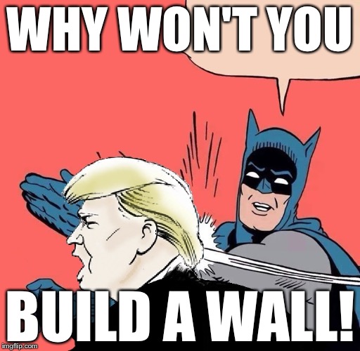 Batman slaps Trump | WHY WON'T YOU; BUILD A WALL! | image tagged in batman slaps trump | made w/ Imgflip meme maker