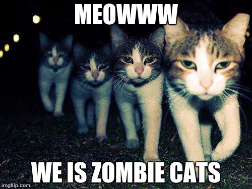 Wrong Neighboorhood Cats | MEOWWW; WE IS ZOMBIE CATS | image tagged in memes,wrong neighboorhood cats | made w/ Imgflip meme maker