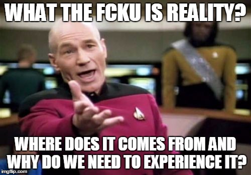 Picard Wtf | WHAT THE FCKU IS REALITY? WHERE DOES IT COMES FROM AND WHY DO WE NEED TO EXPERIENCE IT? | image tagged in memes,picard wtf | made w/ Imgflip meme maker