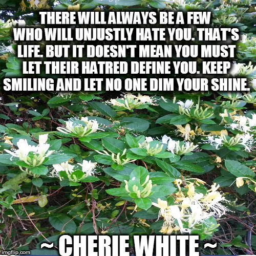 THERE WILL ALWAYS BE A FEW WHO WILL UNJUSTLY HATE YOU. THAT'S LIFE. BUT IT DOESN'T MEAN YOU MUST LET THEIR HATRED DEFINE YOU. KEEP SMILING AND LET NO ONE DIM YOUR SHINE. ~ CHERIE WHITE ~ | image tagged in bullying,self esteem,mental health,depression,confidence | made w/ Imgflip meme maker