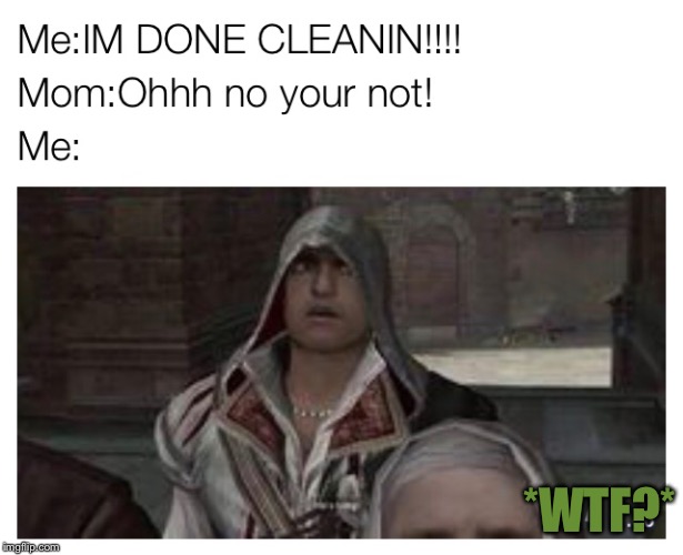 *WTF?* | image tagged in assassins creed,chores | made w/ Imgflip meme maker