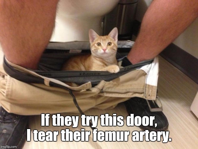 23-Funn...700.jpg | If they try this door, I tear their femur artery. | image tagged in 23-funn700jpg | made w/ Imgflip meme maker