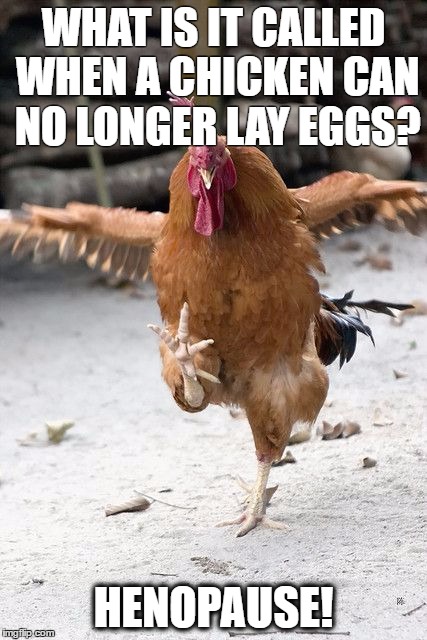 friday eve chicken | WHAT IS IT CALLED WHEN A CHICKEN CAN NO LONGER LAY EGGS? HENOPAUSE! | image tagged in friday eve chicken | made w/ Imgflip meme maker