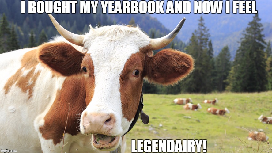 happy cow | I BOUGHT MY YEARBOOK AND NOW I FEEL; LEGENDAIRY! | image tagged in happy cow | made w/ Imgflip meme maker