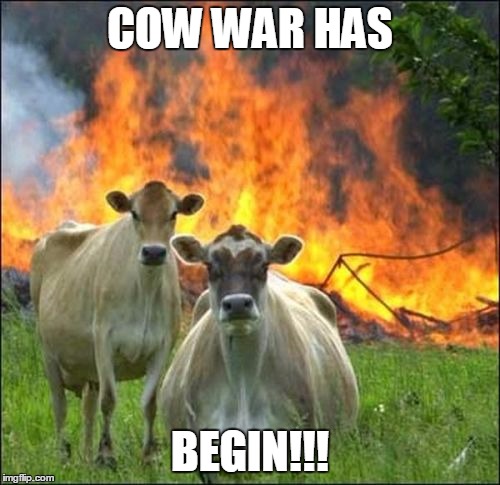 Evil Cows | COW WAR HAS; BEGIN!!! | image tagged in memes,evil cows | made w/ Imgflip meme maker