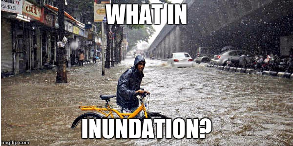 What In Inundation? |  WHAT IN; INUNDATION? | image tagged in what in tarnation,memes,dank,dank memes,dank meme,too dank | made w/ Imgflip meme maker