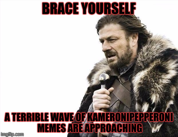 Brace Yourselves X is Coming | BRACE YOURSELF; A TERRIBLE WAVE OF KAMERONIPEPPERONI MEMES ARE APPROACHING | image tagged in memes,brace yourselves x is coming | made w/ Imgflip meme maker