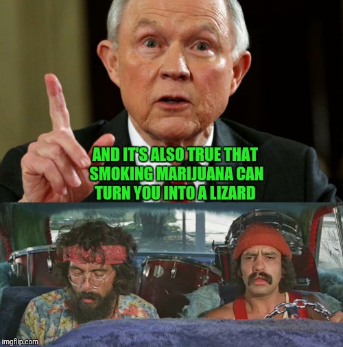 AND IT'S ALSO TRUE THAT SMOKING MARIJUANA CAN TURN YOU INTO A LIZARD | image tagged in funny memes,marijuana,cheech and chong,memes | made w/ Imgflip meme maker
