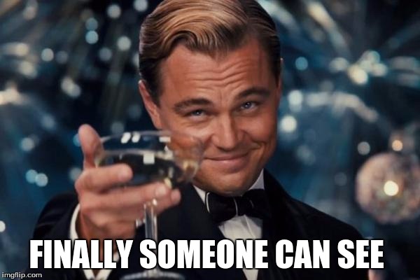 Leonardo Dicaprio Cheers Meme | FINALLY SOMEONE CAN SEE | image tagged in memes,leonardo dicaprio cheers | made w/ Imgflip meme maker