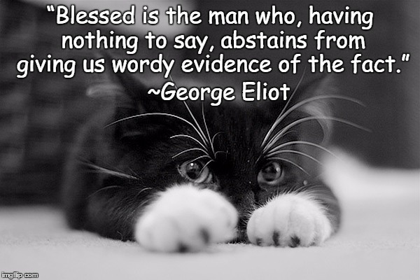 Adorable Cat | “Blessed is the man who, having nothing to say, abstains from giving us wordy evidence of the fact.”; ~George Eliot | image tagged in george eliot,big mouth,shut up,know it all,silence is golden | made w/ Imgflip meme maker
