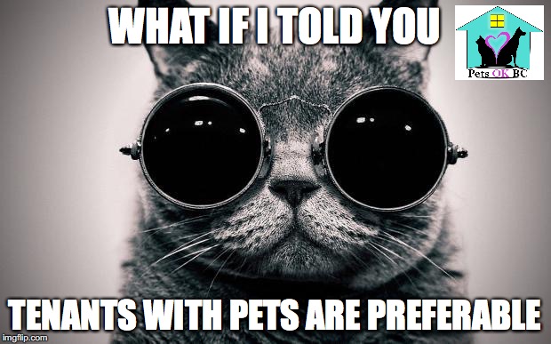 Morpheus Cat | WHAT IF I TOLD YOU; TENANTS WITH PETS ARE PREFERABLE | image tagged in morpheus cat | made w/ Imgflip meme maker