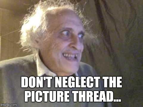 Old Pervert | DON'T NEGLECT THE PICTURE THREAD... | image tagged in old pervert | made w/ Imgflip meme maker