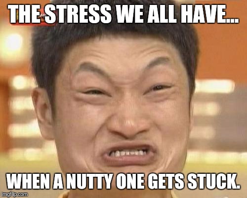 Impossibru Guy Original Meme | THE STRESS WE ALL HAVE... WHEN A NUTTY ONE GETS STUCK. | image tagged in memes,impossibru guy original | made w/ Imgflip meme maker