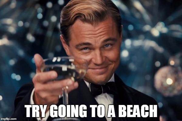 Leonardo Dicaprio Cheers Meme | TRY GOING TO A BEACH | image tagged in memes,leonardo dicaprio cheers | made w/ Imgflip meme maker