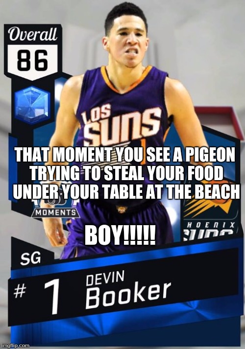THAT MOMENT YOU SEE A PIGEON TRYING TO STEAL YOUR FOOD UNDER YOUR TABLE AT THE BEACH; BOY!!!!! | image tagged in day at the beach | made w/ Imgflip meme maker