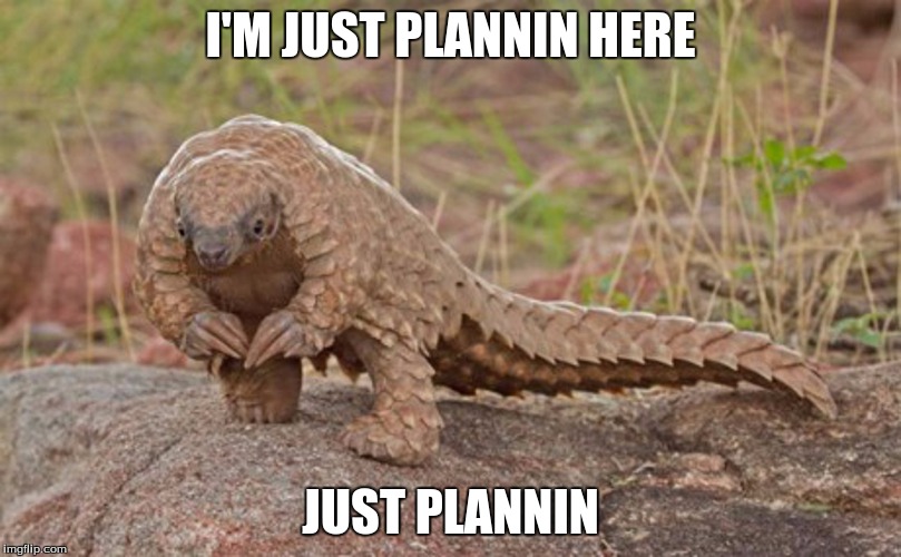 I'M JUST PLANNIN HERE; JUST PLANNIN | image tagged in plannin pangolin | made w/ Imgflip meme maker