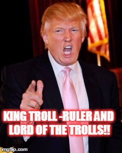 Donald Trump | KING TROLL -RULER AND LORD OF THE TROLLS!! | image tagged in donald trump | made w/ Imgflip meme maker