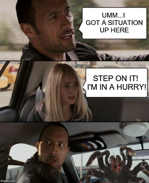 Things Are About To Accelerate In 3...2...1 | UMM...I GOT A SITUATION UP HERE; STEP ON IT! I'M IN A HURRY! | image tagged in the rock driving,memes,spiders | made w/ Imgflip meme maker