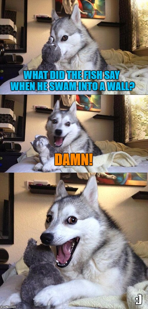 Bad Pun Dog | WHAT DID THE FISH SAY WHEN HE SWAM INTO A WALL? DAMN! :) | image tagged in memes,bad pun dog | made w/ Imgflip meme maker