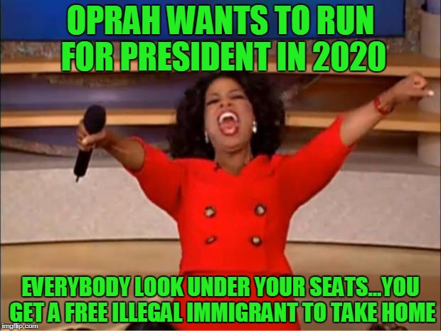 Oprah You Get A Meme | OPRAH WANTS TO RUN FOR PRESIDENT IN 2020; EVERYBODY LOOK UNDER YOUR SEATS...YOU GET A FREE ILLEGAL IMMIGRANT TO TAKE HOME | image tagged in memes,oprah you get a | made w/ Imgflip meme maker