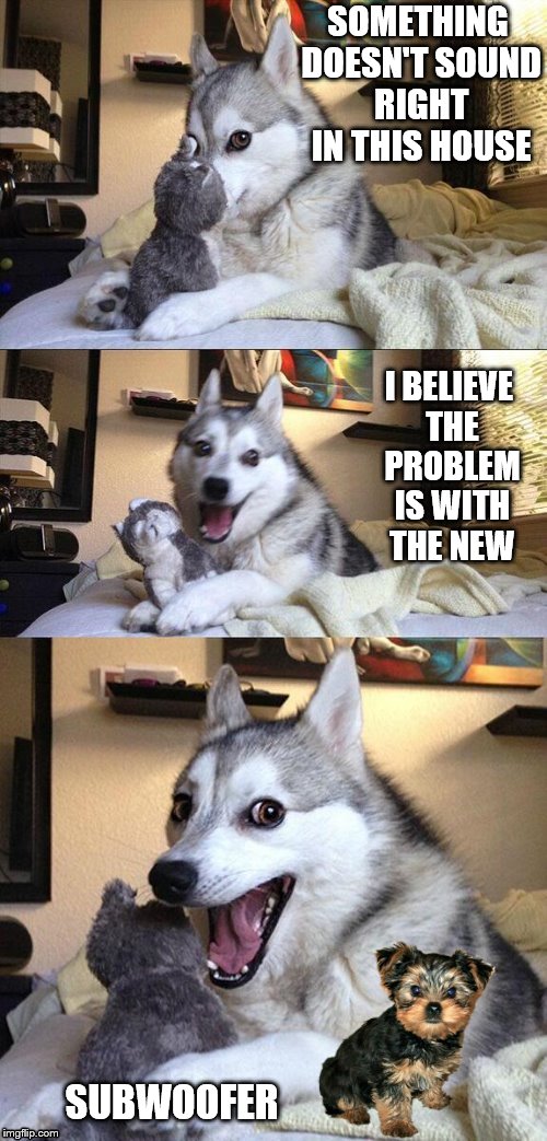The Owner's New Purchase Didn't Resonate Well | SOMETHING DOESN'T SOUND RIGHT IN THIS HOUSE; I BELIEVE THE PROBLEM IS WITH THE NEW; SUBWOOFER | image tagged in bad pun dog,subwoofer,memes | made w/ Imgflip meme maker