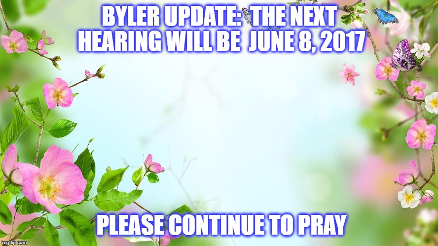 flowers | BYLER UPDATE:  THE NEXT HEARING WILL BE  JUNE 8, 2017; PLEASE CONTINUE TO PRAY | image tagged in flowers | made w/ Imgflip meme maker