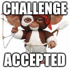 CHALLENGE; ACCEPTED | image tagged in nam man | made w/ Imgflip meme maker