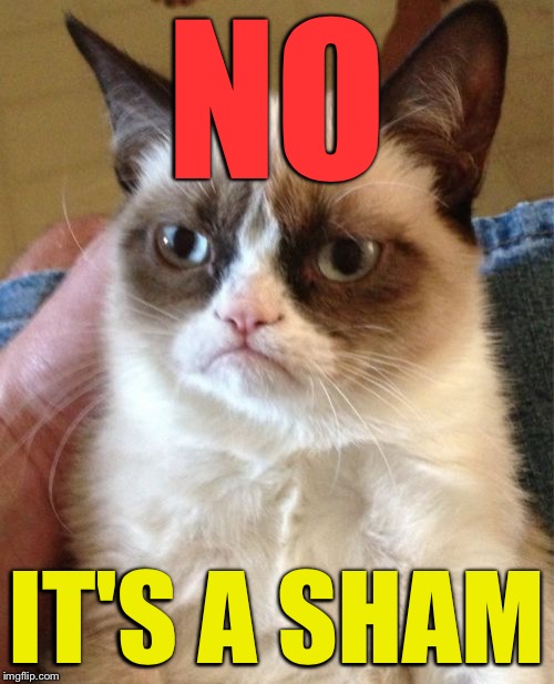 Grumpy Cat Meme | NO IT'S A SHAM | image tagged in memes,grumpy cat | made w/ Imgflip meme maker
