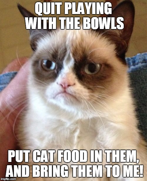 Grumpy Cat Meme | QUIT PLAYING WITH THE BOWLS PUT CAT FOOD IN THEM, AND BRING THEM TO ME! | image tagged in memes,grumpy cat | made w/ Imgflip meme maker