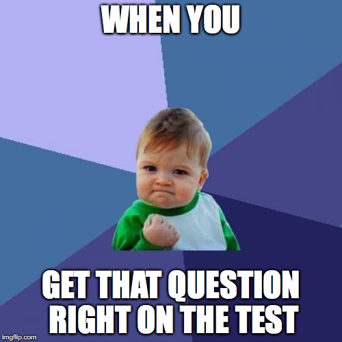 Success Kid | WHEN YOU; GET THAT QUESTION RIGHT ON THE TEST | image tagged in memes,success kid | made w/ Imgflip meme maker