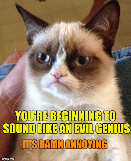 Grumpy Cat Meme | IT'S DAMN ANNOYING YOU'RE BEGINNING TO SOUND LIKE AN EVIL GENIUS | image tagged in memes,grumpy cat | made w/ Imgflip meme maker