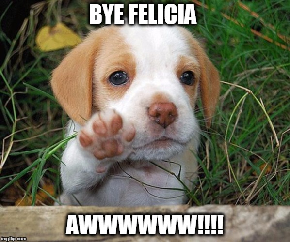 dog puppy bye | BYE FELICIA; AWWWWWW!!!! | image tagged in dog puppy bye | made w/ Imgflip meme maker