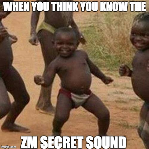 Third World Success Kid | WHEN YOU THINK YOU KNOW THE; ZM SECRET SOUND | image tagged in memes,third world success kid | made w/ Imgflip meme maker
