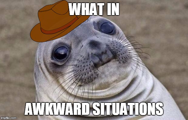 Awkward Moment Sealion Meme | WHAT IN AWKWARD SITUATIONS | image tagged in memes,awkward moment sealion | made w/ Imgflip meme maker