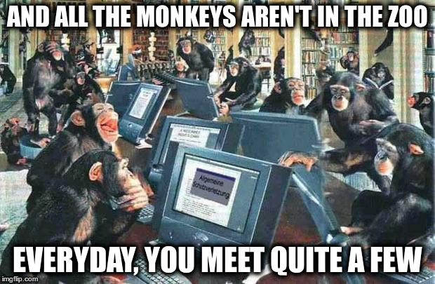 Monkeys on typewriters | AND ALL THE MONKEYS AREN'T IN THE ZOO; EVERYDAY, YOU MEET QUITE A FEW | image tagged in monkeys on typewriters | made w/ Imgflip meme maker
