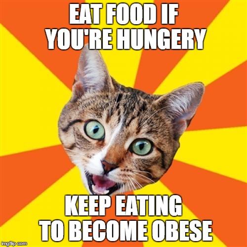 Bad Advice Cat | EAT FOOD IF YOU'RE HUNGERY; KEEP EATING TO BECOME OBESE | image tagged in memes,bad advice cat | made w/ Imgflip meme maker