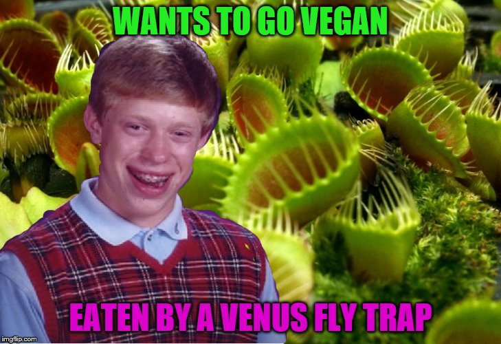 The hunter becomes the hunted | WANTS TO GO VEGAN; EATEN BY A VENUS FLY TRAP | image tagged in bad luck brian | made w/ Imgflip meme maker