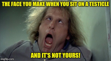 Once again it's "Wrong Template Thursday" | THE FACE YOU MAKE WHEN YOU SIT ON A TESTICLE; AND IT'S NOT YOURS! | image tagged in memes,scary harry,testicle | made w/ Imgflip meme maker