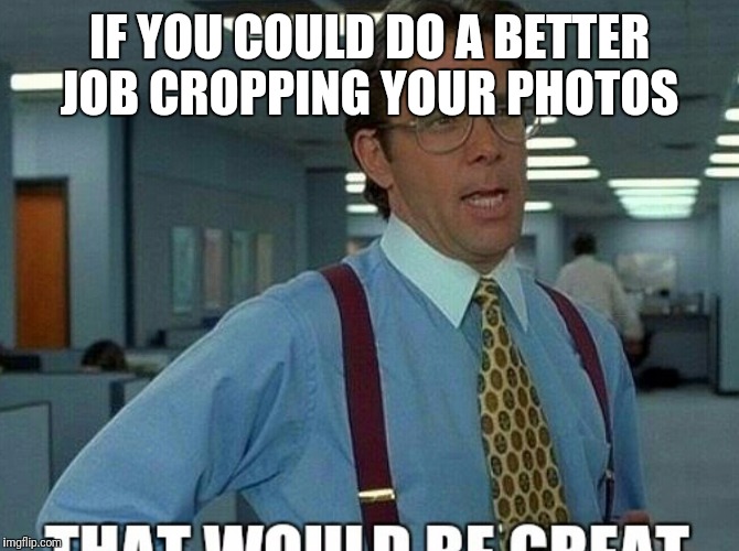  Your Job Title Is Cropping Expert, I Expected Better Of You! | IF YOU COULD DO A BETTER JOB CROPPING YOUR PHOTOS | image tagged in that would be great,funny,memes,photo editing | made w/ Imgflip meme maker