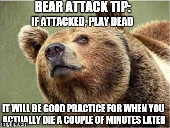 Never take bear-attack advice from a hungry bear. |  BEAR ATTACK TIP:; IF ATTACKED, PLAY DEAD; IT WILL BE GOOD PRACTICE FOR WHEN YOU ACTUALLY DIE A COUPLE OF MINUTES LATER | image tagged in memes,smug bear | made w/ Imgflip meme maker