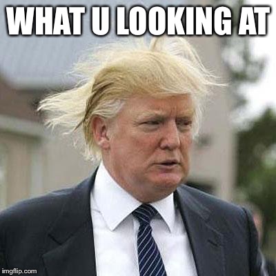 Donald Trump | WHAT U LOOKING AT | image tagged in donald trump | made w/ Imgflip meme maker