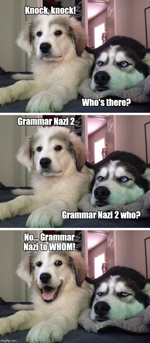 Grammar Nazi Pun Dogs | Knock, knock! Who's there? Grammar Nazi 2; Grammar Nazi 2 who? No... Grammar Nazi to WHOM! | image tagged in bad pun dogs,grammar nazi,knock knock dogs | made w/ Imgflip meme maker