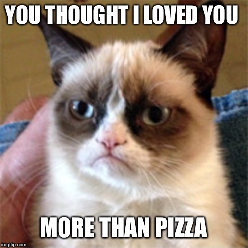 YOU THOUGHT I LOVED YOU; MORE THAN PIZZA | image tagged in pizza cat | made w/ Imgflip meme maker