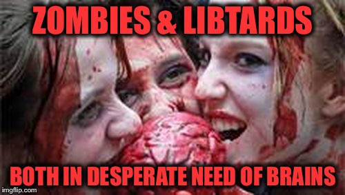 All Zombies are Libtards | ZOMBIES & LIBTARDS BOTH IN DESPERATE NEED OF BRAINS | image tagged in all zombies are libtards | made w/ Imgflip meme maker