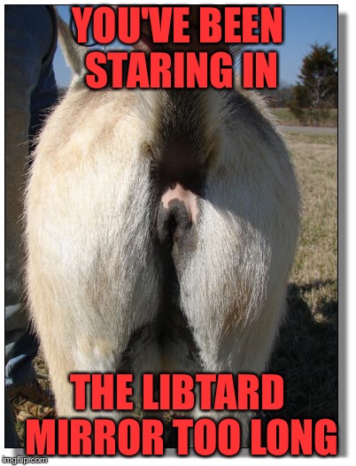 Libtard Mirror | YOU'VE BEEN STARING IN THE LIBTARD MIRROR TOO LONG | image tagged in libtard mirror | made w/ Imgflip meme maker
