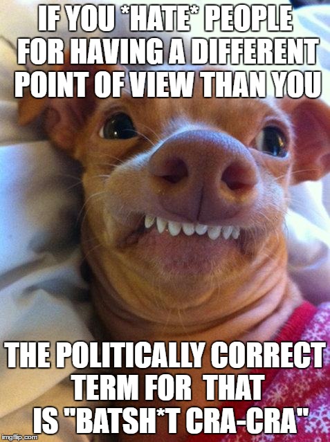Overbite Dog | IF YOU *HATE* PEOPLE FOR HAVING A DIFFERENT POINT OF VIEW THAN YOU; THE POLITICALLY CORRECT TERM FOR  THAT  IS "BATSH*T CRA-CRA" | image tagged in overbite dog | made w/ Imgflip meme maker