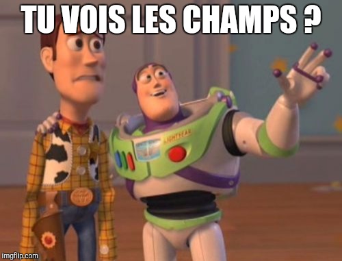 X, X Everywhere Meme | TU VOIS LES CHAMPS ? | image tagged in memes,x x everywhere | made w/ Imgflip meme maker