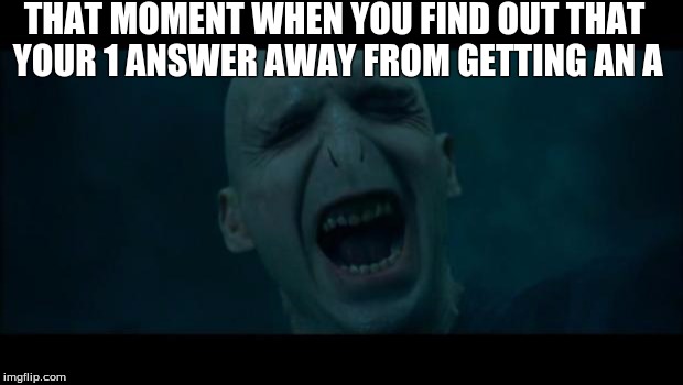 Voldemort Noooooo | THAT MOMENT WHEN YOU FIND OUT THAT YOUR 1 ANSWER AWAY FROM GETTING AN A | image tagged in voldemort noooooo | made w/ Imgflip meme maker