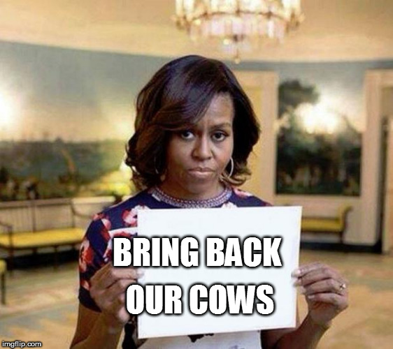 Michelle Obama blank sheet | OUR COWS; BRING BACK | image tagged in michelle obama blank sheet | made w/ Imgflip meme maker